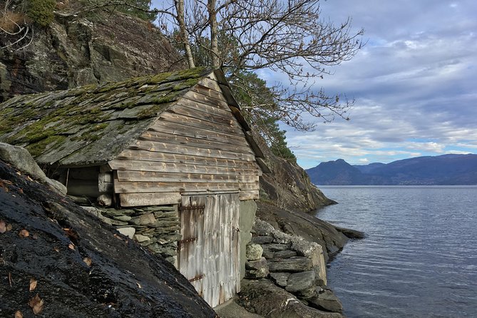 GUIDED GROUP TOUR: Queen of the Fjords: Mini-TOUR From Bergen, 6 Hours - Reviews