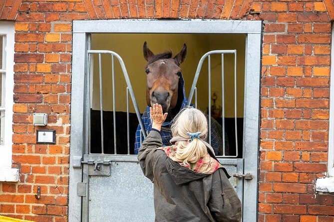 Guided Half Day Behind the Scenes Newmarket Tour - Inclusions