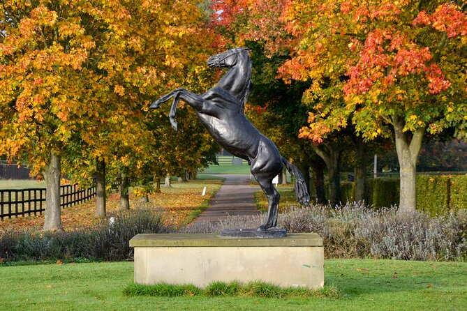 Guided Half Day Behind the Scenes Newmarket Tour - Meeting and Pickup Details