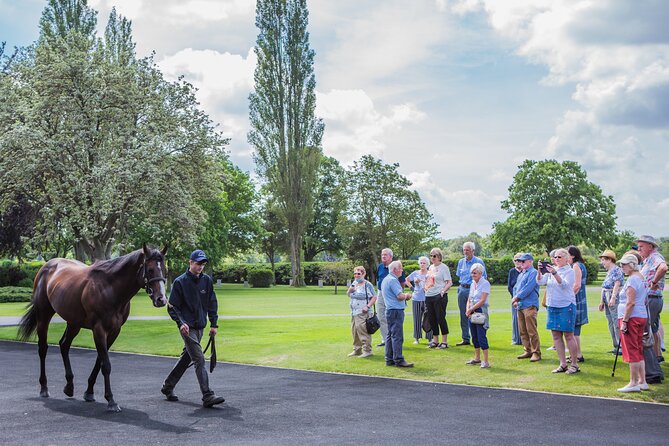 Guided Half Day Behind the Scenes Newmarket Tour - Common Questions