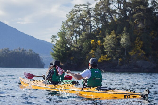 Guided Half Day Kayak Tour With Picnic in Villa La Angostura - Tour Details