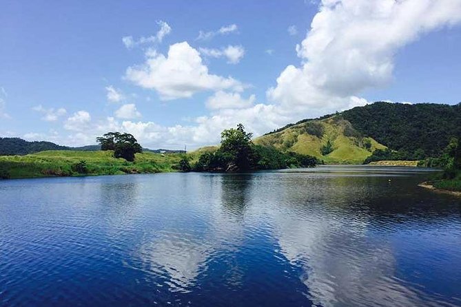 Guided Half-Day Tour of Daintree Rainforest  - Port Douglas - Inclusions: Snacks Provided