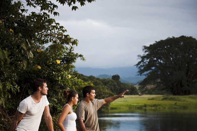 Guided Half-Day Tour of Daintree Rainforest  - Port Douglas - Flexible Cancellation Policy