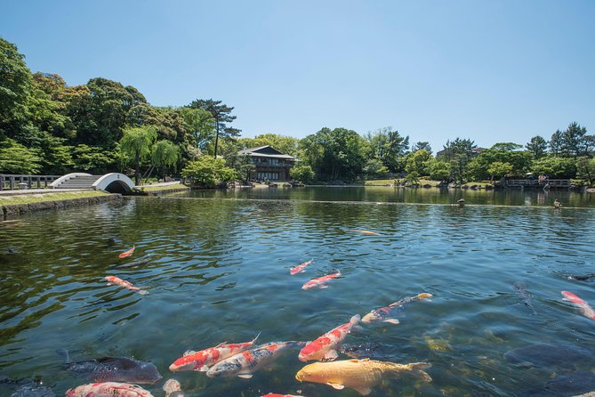 Guided Half-day Tour(AM) to Nagoya Castle & Tokugawa Museum and Garden - Miscellaneous Details