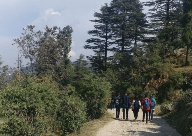 Guided Haunted & Mysterious Walking Tour of Mussoorie - Access and Conversations