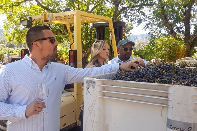 Guided Healdsburg Wine Country Bike and Wine Tasting Tour With Lunch - Tour Overview