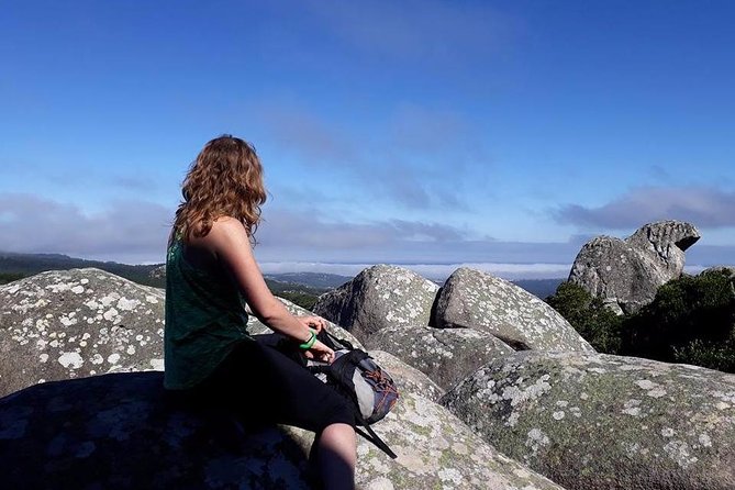 Guided Hike in Sintra-Cascais Natural Park, Lisbon - Meeting Point and Transportation