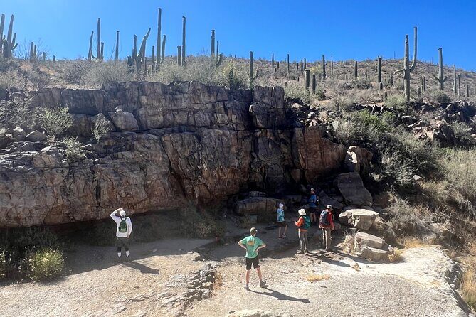 Guided Hike in the Sonoran Desert - Exploring the Sonoran Desert: A Guided Hike That Offers More Than Just a Walk