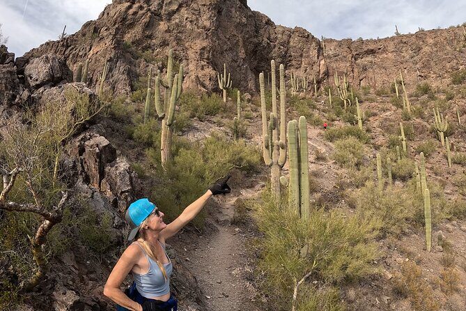 Guided Hike in the Sonoran Desert - Practical Tips for a Great Experience