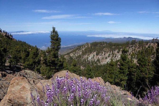 Guided Hike - The Tajinaste Trail - Frequently Asked Questions