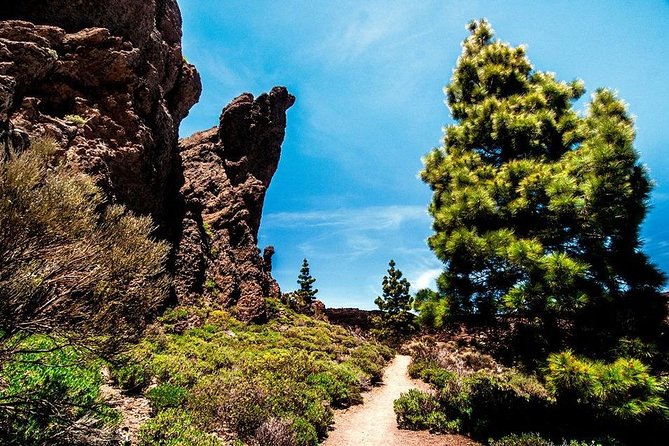 Guided Hike - The Tajinaste Trail - The Sum Up