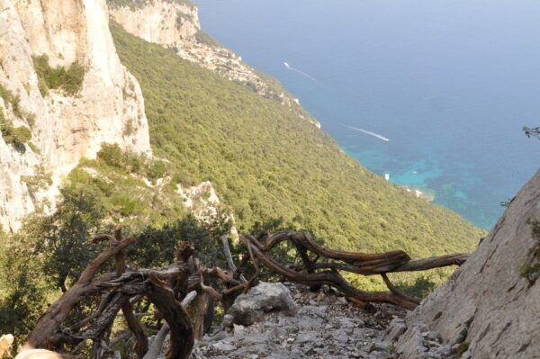 Guided Hike to Cala Mariolu - The Sum Up