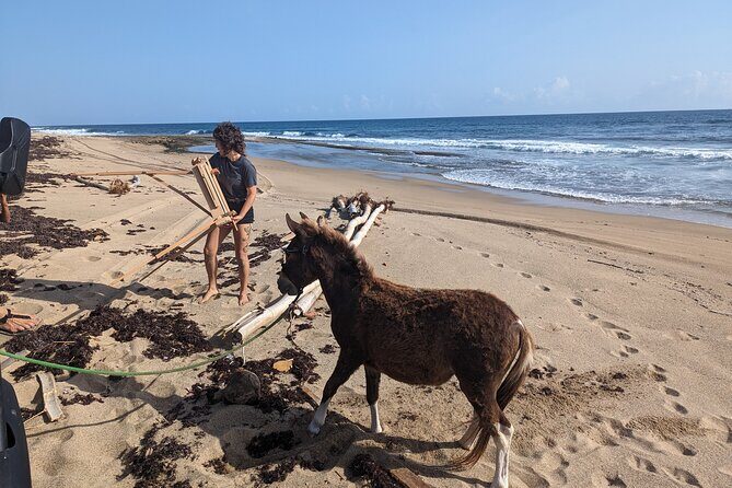 Guided Hike with Miniature Donkeys to a Secluded Beach - Good To Know