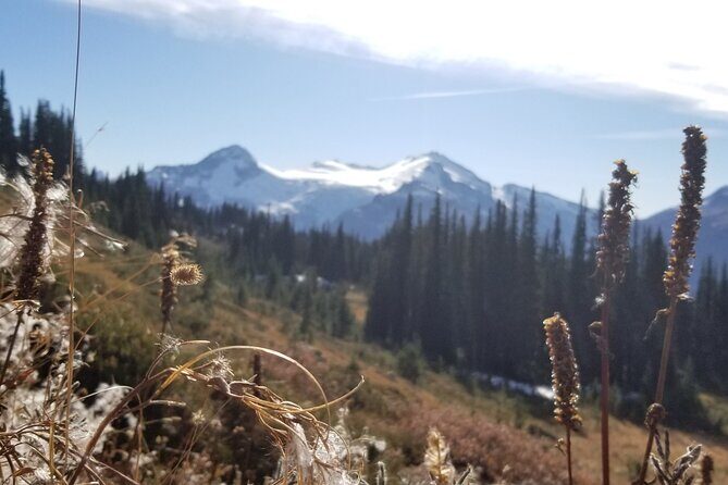 Guided Hiking and Camping Tour - Practical Tips for Your Trip