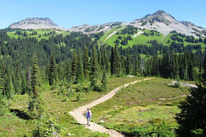 Guided Hiking and Camping Tour - Who Will Love This Tour?