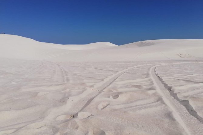 Guided Hiking and Environmental Education: Atlantis Sand Dunes - The Rich Natural History of Atlantis Sand Dunes