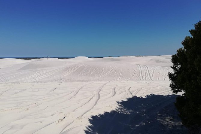 Guided Hiking and Environmental Education: Atlantis Sand Dunes - Exploring the Unique Flora and Fauna