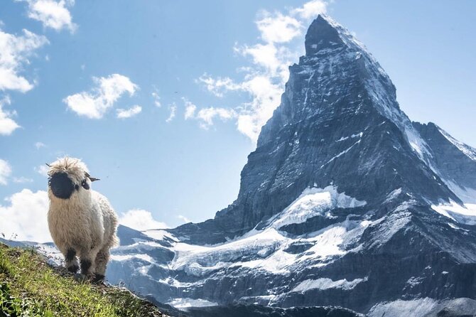 Guided Hiking Full Day in Zermatt - Trip Confirmation and Availability