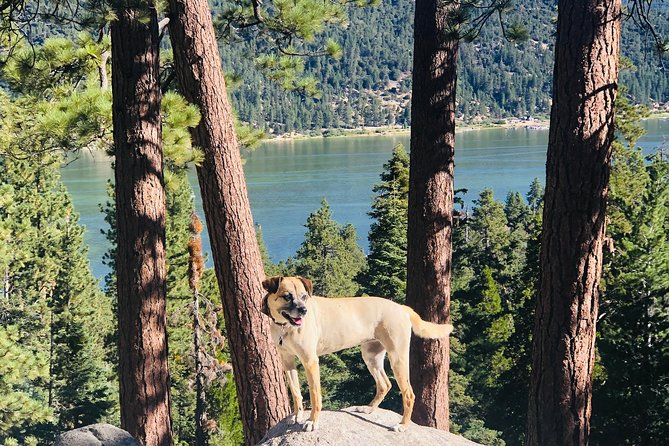 Guided Hiking Tour in Big Bear With Sunset Champagne Toast on Private Dock - Overview and Experience
