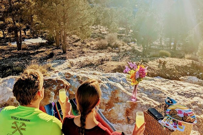 Guided Hiking Tour in Big Bear With Sunset Champagne Toast on Private Dock - Terms and Conditions