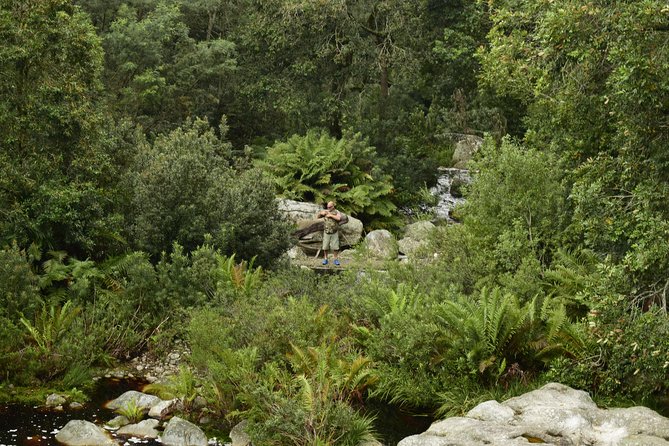 Guided Hiking Trial - PEPSI POOLS - Overview and Operation