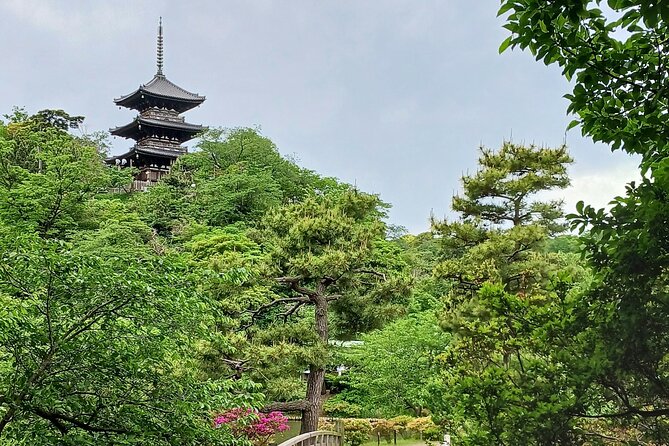 Guided History & Nature Exploration in the Yokohama Hill Area - Coffee and Tea Break