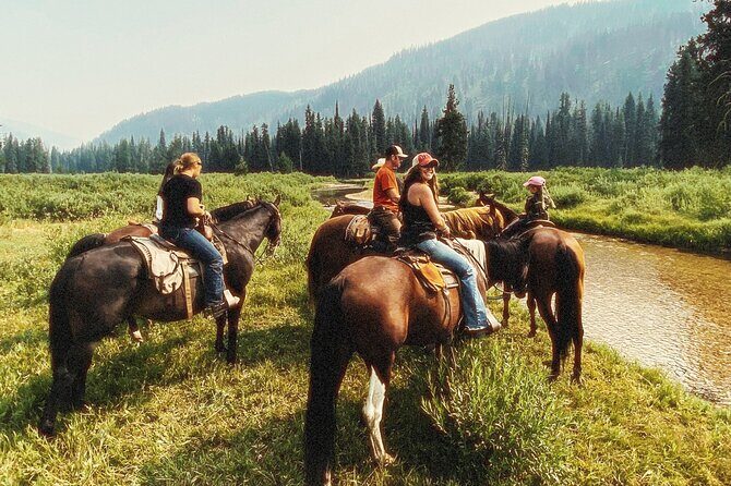 Guided Horseback Trail Rides - Good To Know