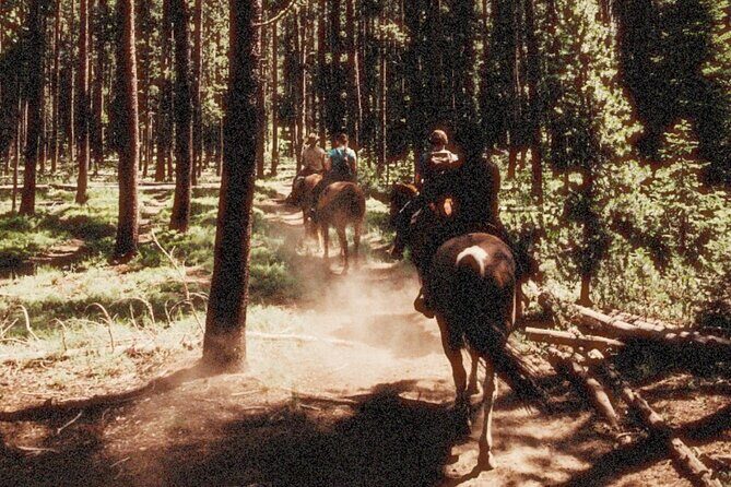 Guided Horseback Trail Rides - An In-Depth Look at the Idaho Horseback Trail Ride
