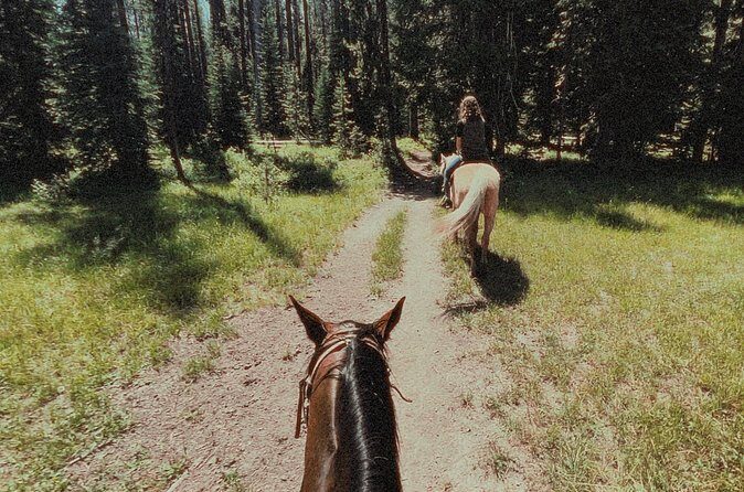 Guided Horseback Trail Rides - FAQ