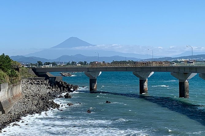 Guided Hybrid Bike Tour in Shizuoka City - Cancellation Policy and Refunds