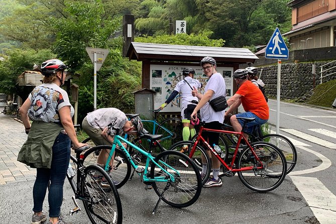 Guided Hybrid Bike Tour in Shizuoka City - Traveler Reviews and Ratings