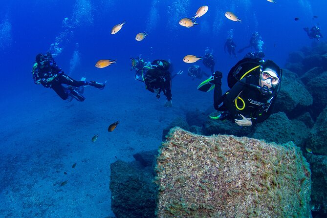 Guided Immersion From Santa Cruz De Tenerife - Overview and Pricing