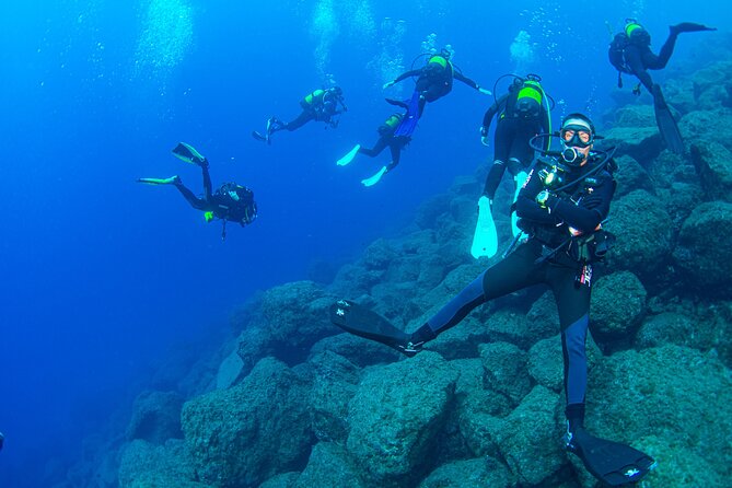 Guided Immersion From Santa Cruz De Tenerife - Inclusions and Experience