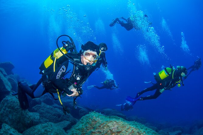 Guided Immersion From Santa Cruz De Tenerife - Meeting and Pickup Details