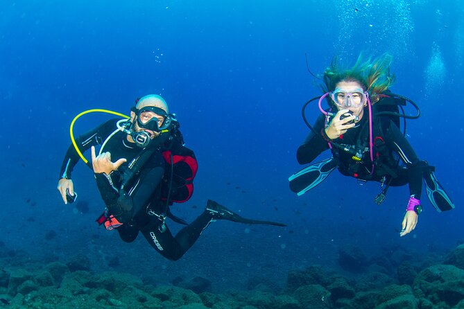 Guided Immersion From Santa Cruz De Tenerife - Additional Information and Support