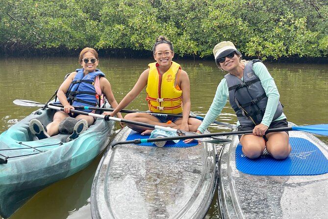 Guided Island Eco Tour - CLEAR or Standard Kayak or Board - Pricing and Booking
