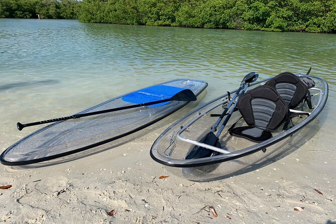 Guided Island Eco Tour - CLEAR or Standard Kayak or Board - Inclusions
