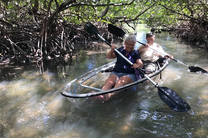 Guided Island Eco Tour - CLEAR or Standard Kayak or Board - The Sum Up