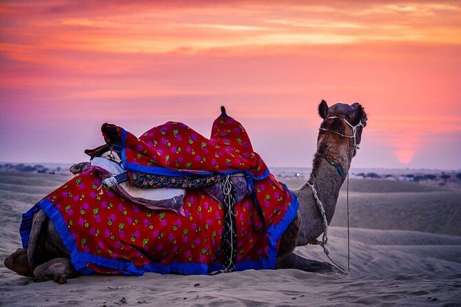 Guided Jaisalmer City Tour With Drop Off at Mount Abu - The Sum Up