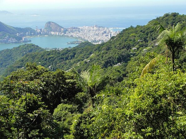Guided Jeep Adventure Through Tijuca Rain Forest - Tour Details