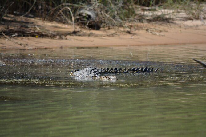 Guided Kakadu Day Tour - Final Thoughts: Who Should Consider This Tour?