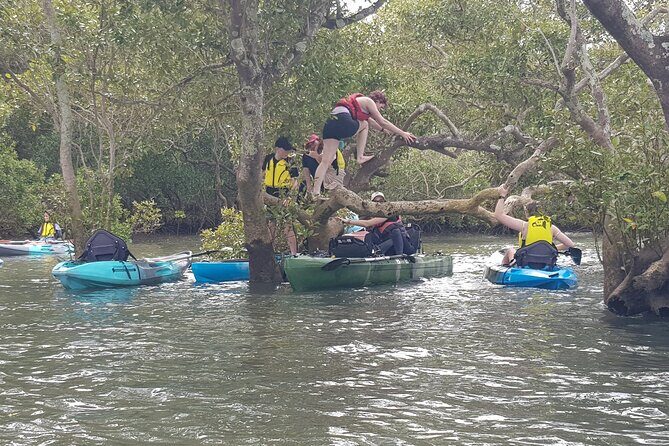 Guided Kayak Adventure Tour - Who Should Book This Experience?