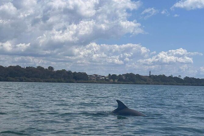 Guided Kayak Adventure Tour - Final Thoughts