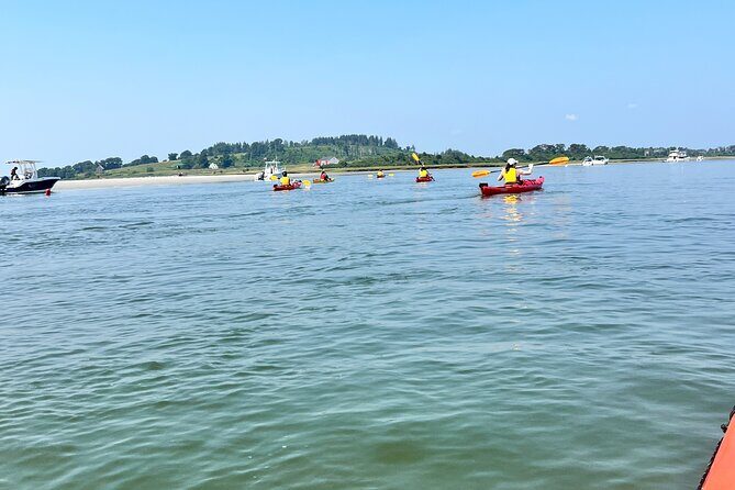 Guided Kayak at the Crane Estate - An Overview of the Guided Kayak Experience