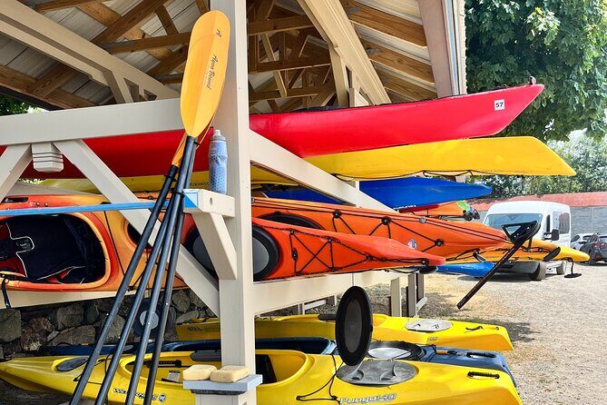 Guided Kayak at the Crane Estate - What to Expect from the Tour