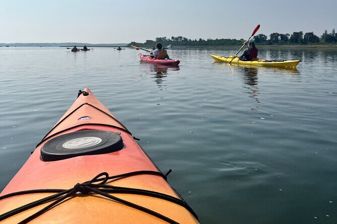 Guided Kayak at the Crane Estate - Final Thoughts: Who Should Consider This Tour?