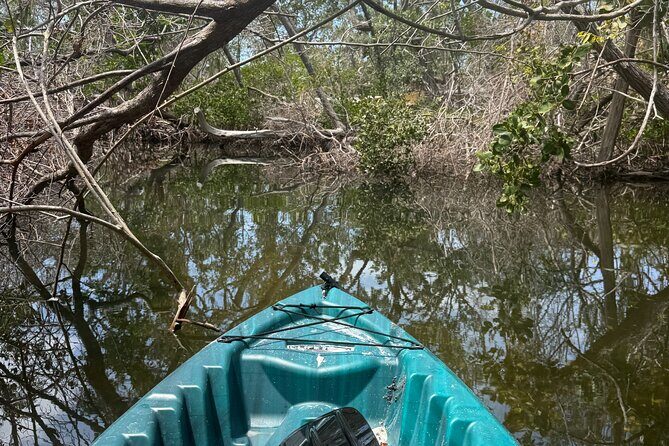 Guided Kayak Experience at EG Simmons Park - What to Expect from the Tour