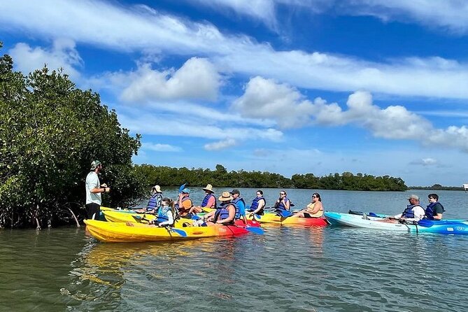 Guided Kayak Mangrove Ecotour in Rookery Bay Reserve, Naples - Cancellation Policy