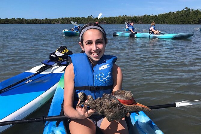 Guided Kayak Mangrove Ecotour in Rookery Bay Reserve, Naples - Kayaking Experience and Wildlife Interaction