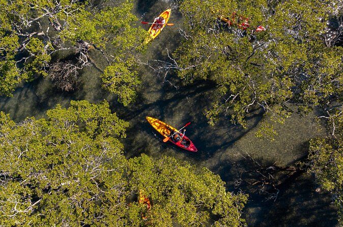 Guided Kayak Tour - Practical Tips for Your Kayak Adventure